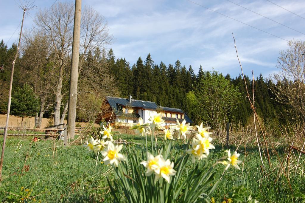 Železná Ruda Pension Pamferka المظهر الخارجي الصورة